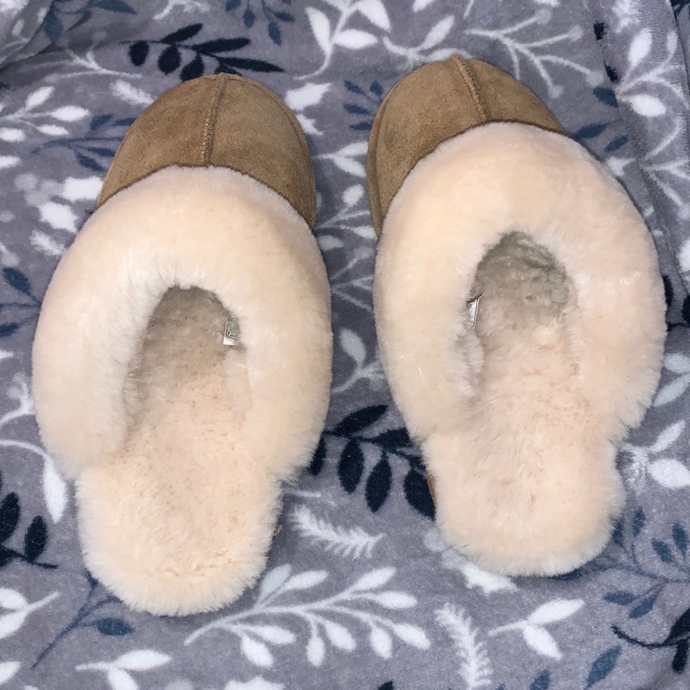 Bearpaw Loki Slippers in hickory
